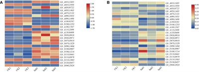 Transcriptome, proteome and functional characterization reveals salt stress tolerance mechanisms in upland cotton (Gossypium hirsutum L.)
